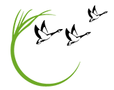 Grand Avenue State School logo