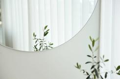 A round mirror mounted on the wall of an apartment bathed in sunlight, catching the reflection of a small indoor olive tree.