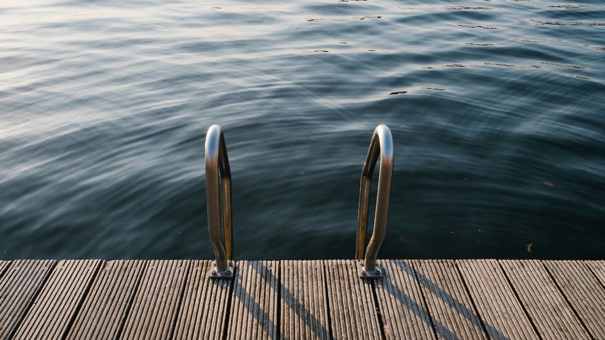 The top of an outdoor ladder leading out of a dark lake onto a sunny dock
