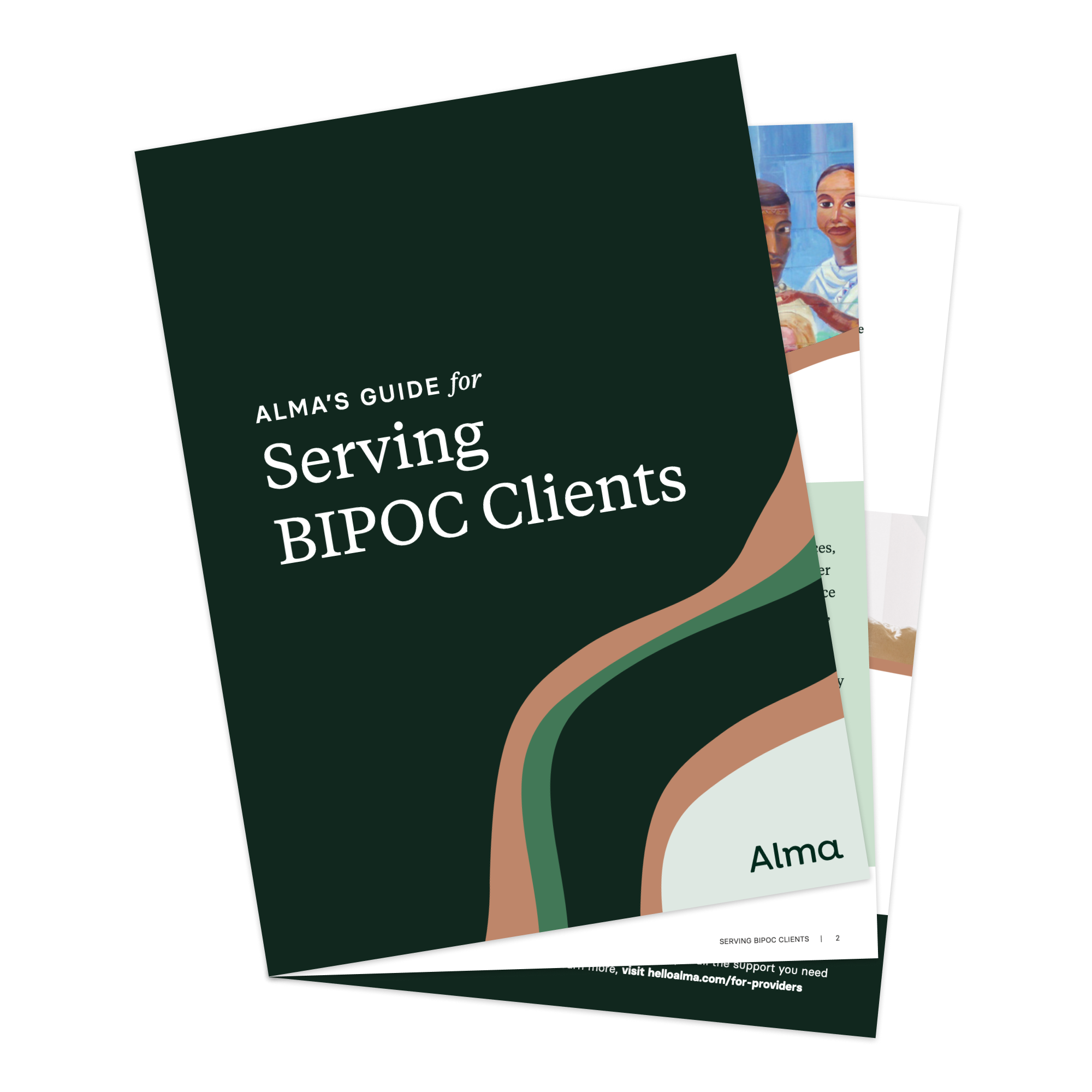 Preview of Document: Culturally Competent Therapy for BIPOC Clients