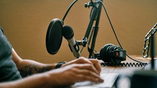 Person holding microphone on microphone stand