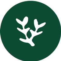 Alma branch logo