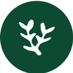 Alma branch logo