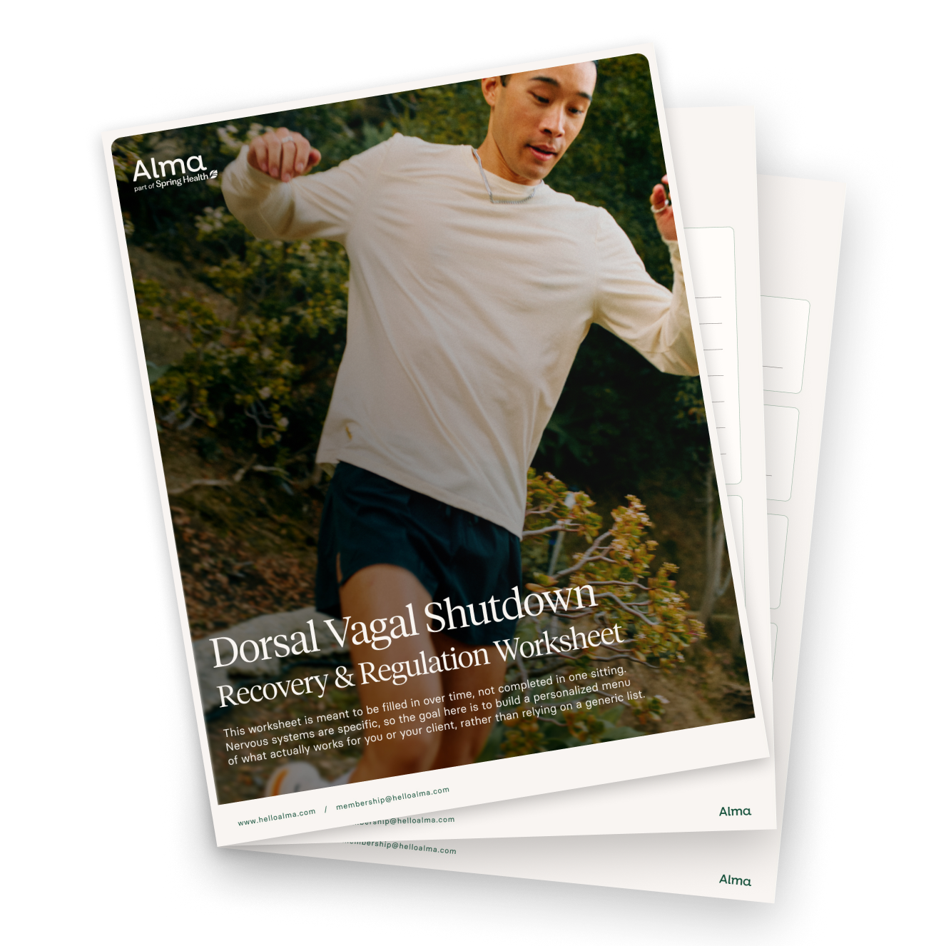 Understanding Dorsal Vagal Shutdown