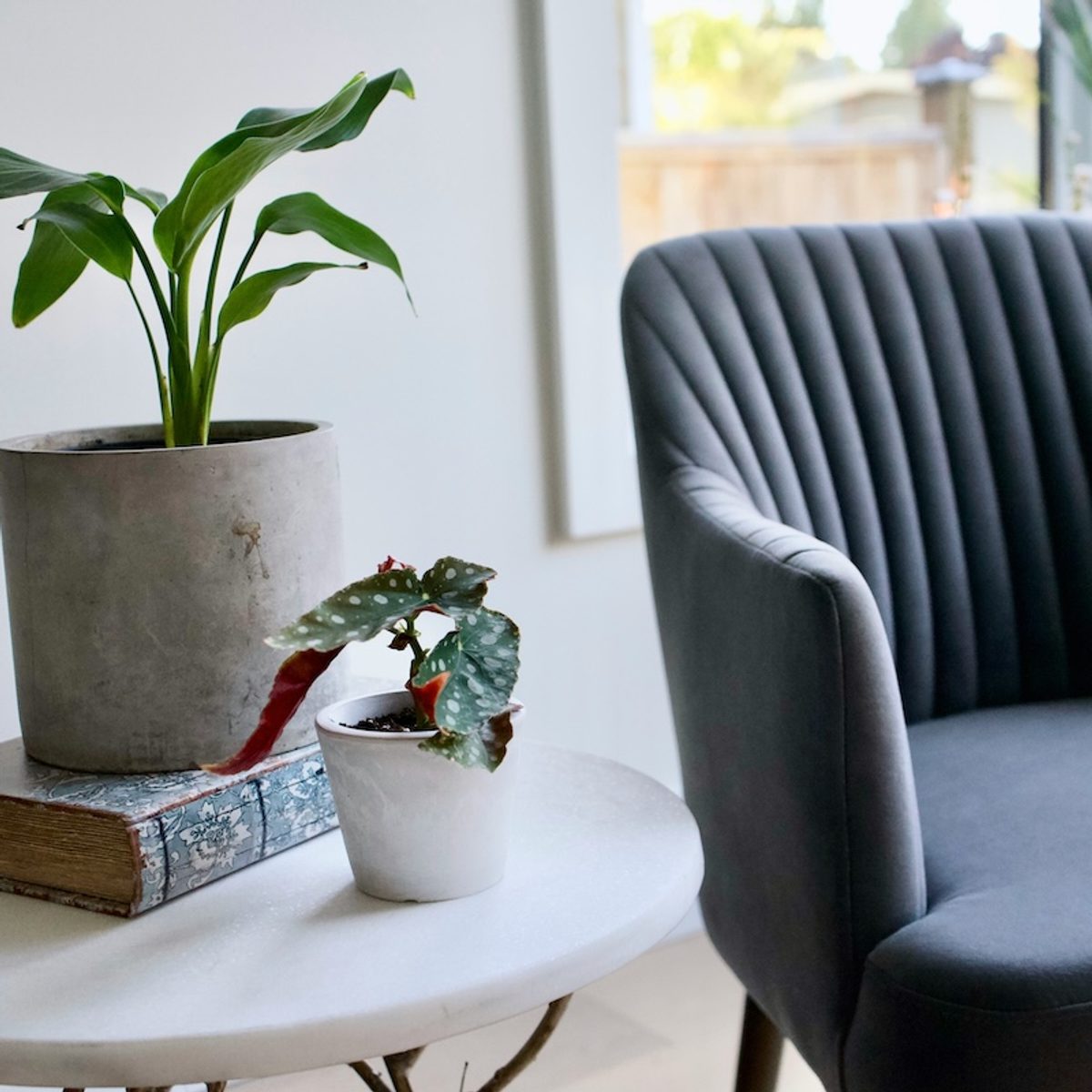 a calming therapist office with natural light, plants, and a comfy gray chair