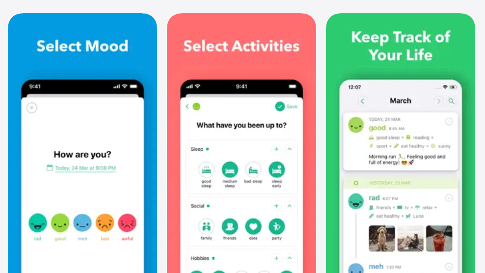 3 Screenshots showing the Daylio app