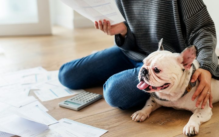 a stressed woman doing taxes on the floor with her arm around her French bulldog