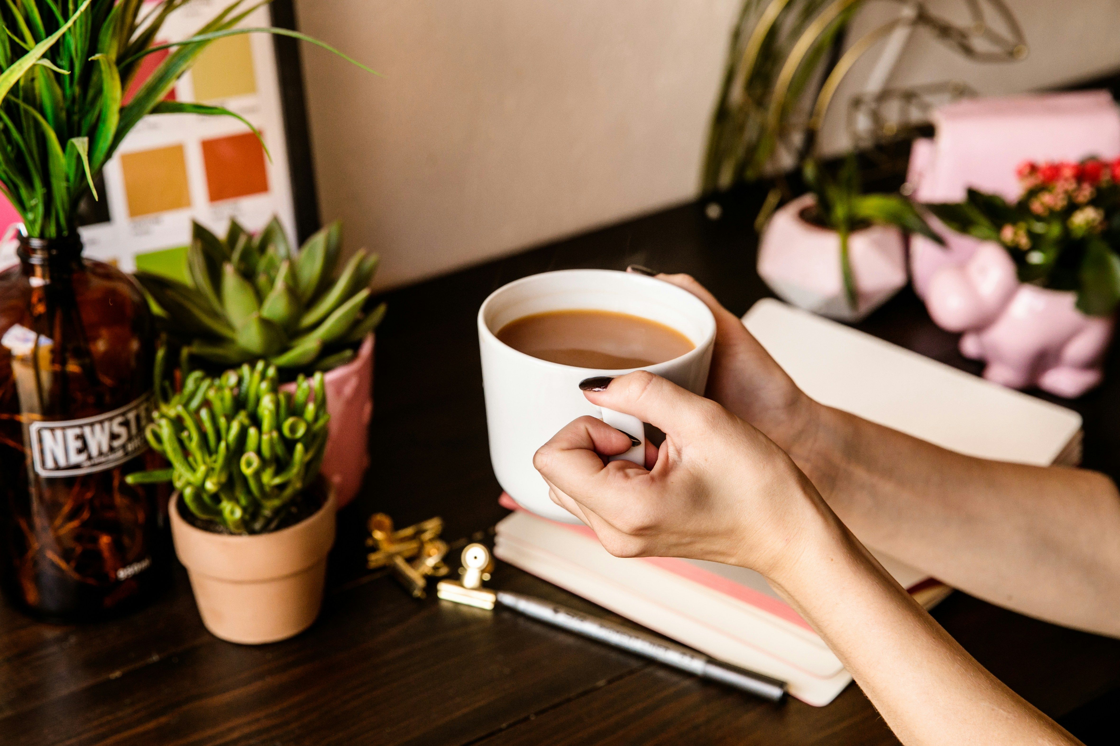 A desk decorated with numerous small succulents in terracotta and pink planters, with two hands leaning over, clutching a filled coffee cup over an open notebook.