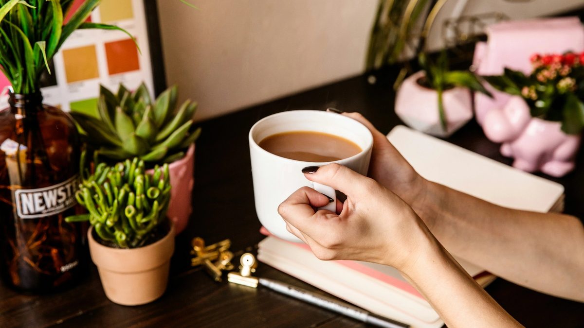 A desk decorated with numerous small succulents in terracotta and pink planters, with two hands leaning over, clutching a filled coffee cup over an open notebook.