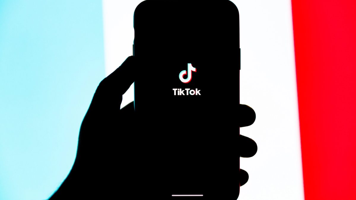 A silhouette of a hand holding a phone displaying the TikTok app logo against a blue, white, and red striped background.