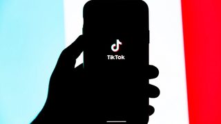 A silhouette of a hand holding a phone displaying the TikTok app logo against a blue, white, and red striped background.