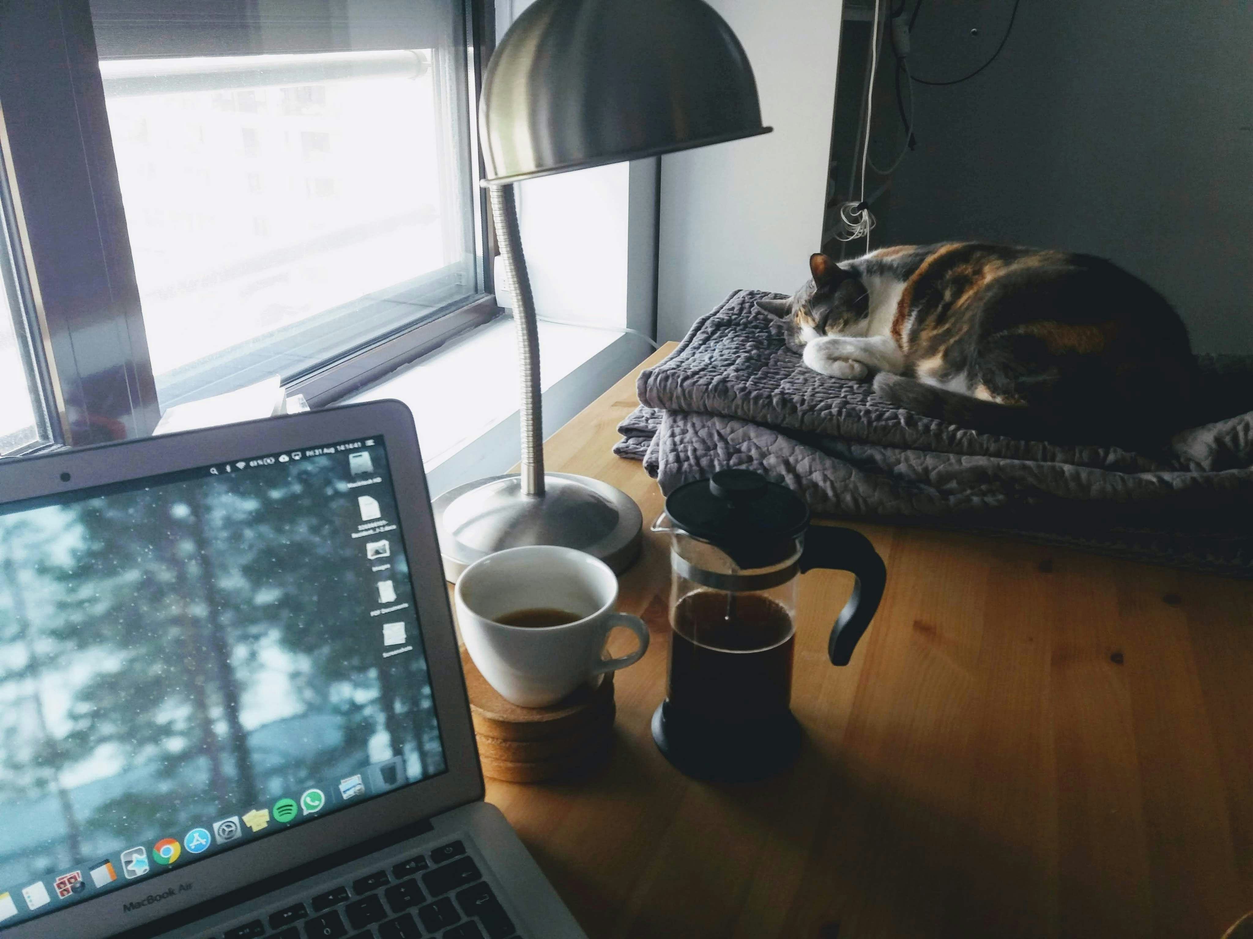 A desk with a laptop, cup of coffee and sleeping cat on it 