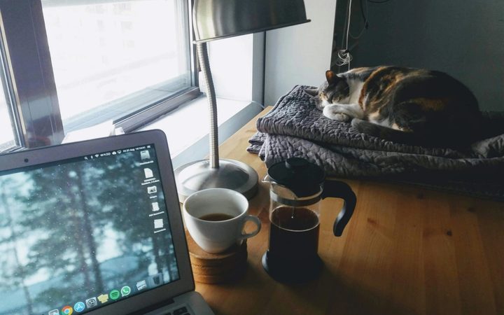 A desk with a laptop, cup of coffee and sleeping cat on it