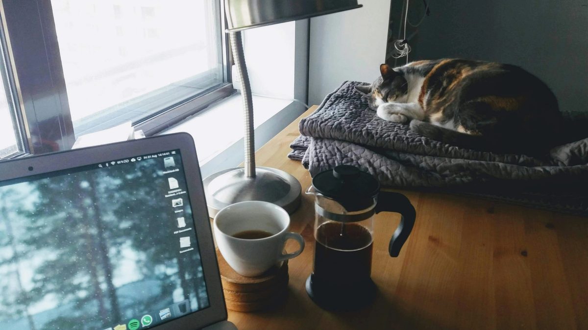 A desk with a laptop, cup of coffee and sleeping cat on it