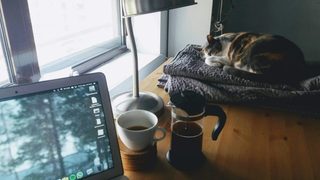 A desk with a laptop, cup of coffee and sleeping cat on it