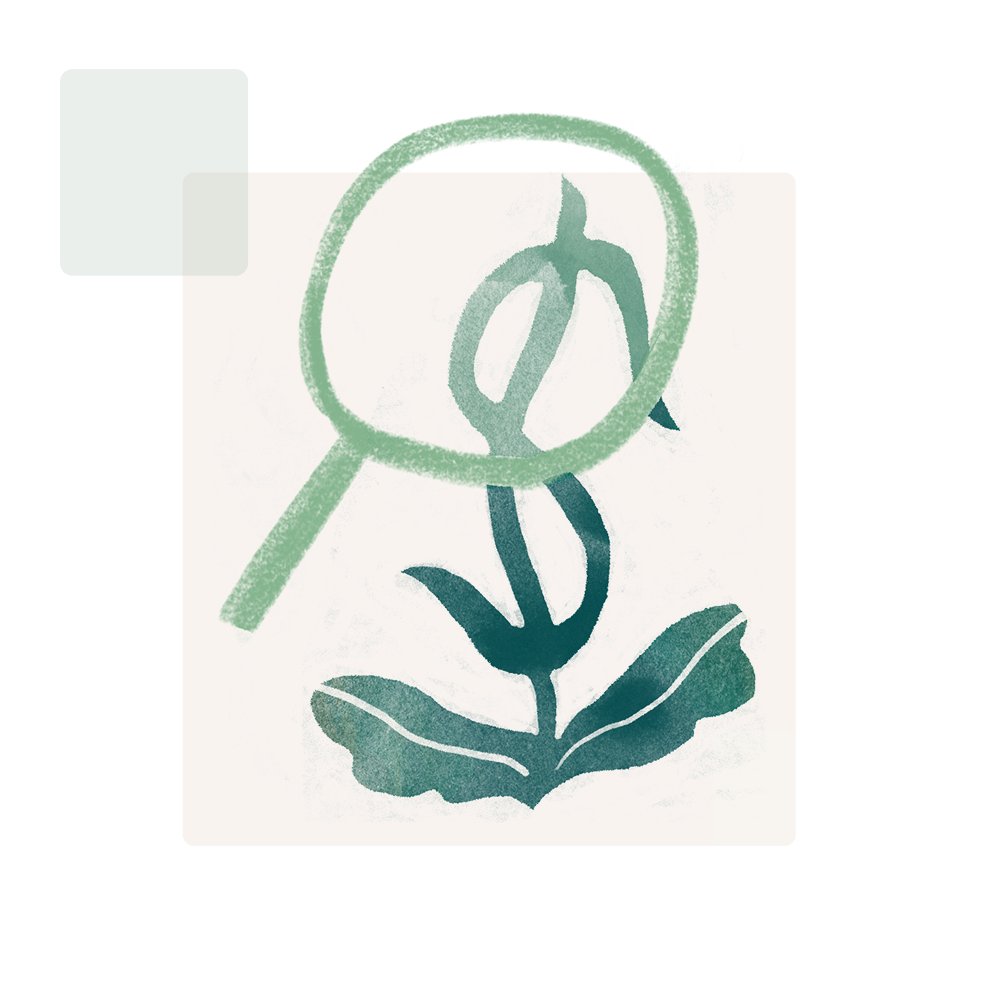 webinar icon