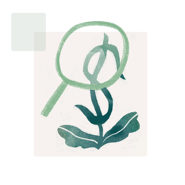 webinar icon