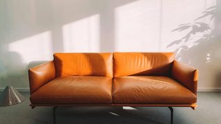 A cognac-colored leather couch, bathed in sunlight shining through the window of a trauma therapist's office.