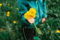 A child in a teal jacket, standing in a grassy field, presents a bouquet of bright, yellow dandelions.
