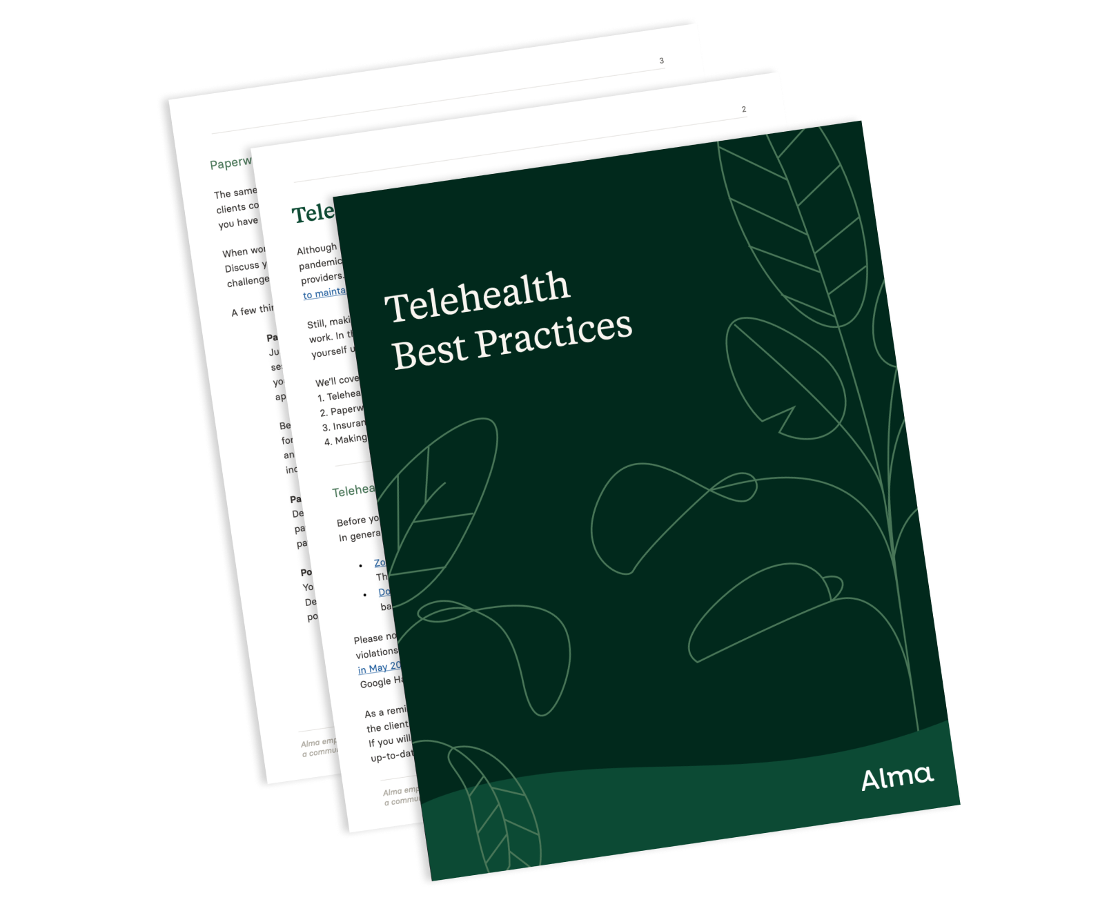 telehealth best practices guide pdf