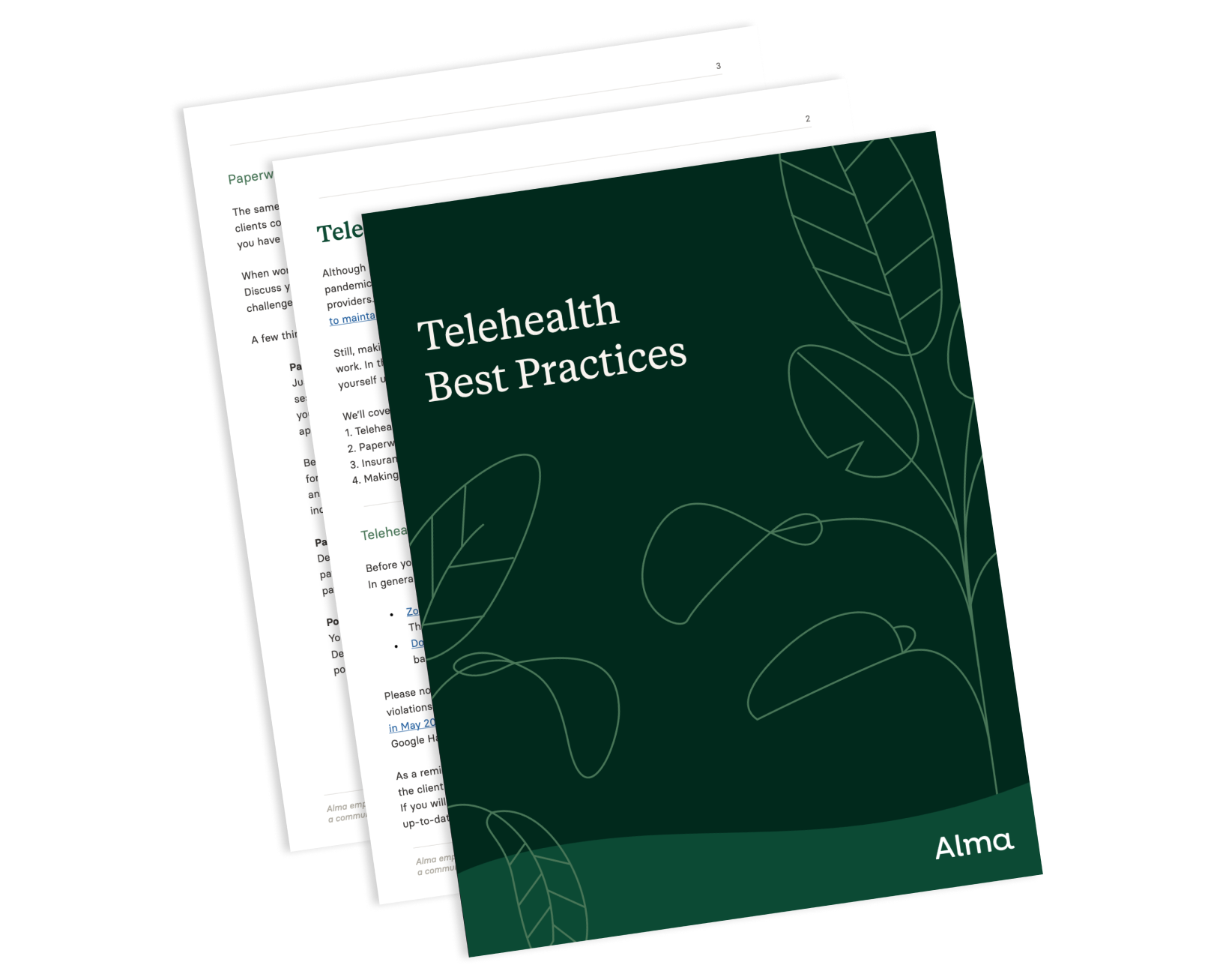 Preview image of Telehealth Best Practices PDF