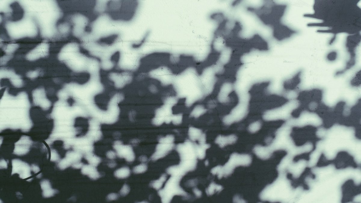 Abstractshadows of leaves on a light green background, representing limerence vs love