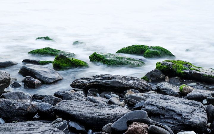 Large rocks along a shoreline