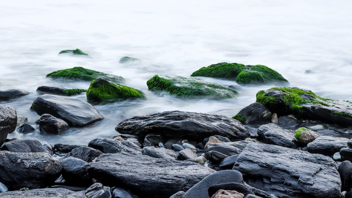 Large rocks along a shoreline