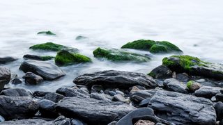 Large rocks along a shoreline
