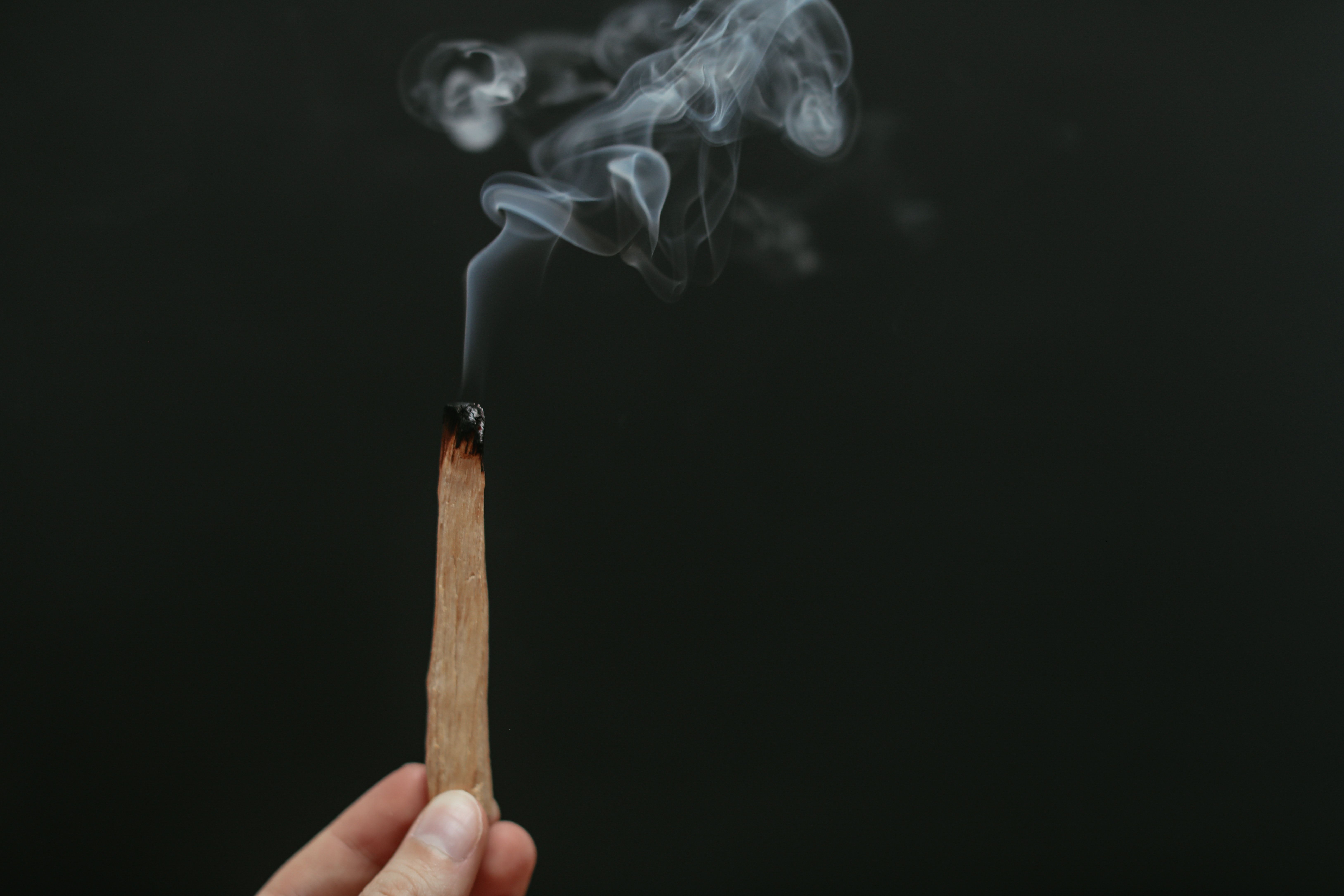 A hand holds a charred, smoking piece of palo santo wood in total darkness.