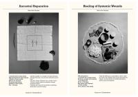 Paloma Passetto de Souza, "Macumba Recipes" from "Museum of Disobedience" | DER GREIF