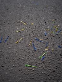 From the series "Conditions of Production" | DER GREIF