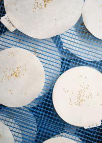From the series "Vorwiegend festkochend / Sprouts & Skins" | DER GREIF