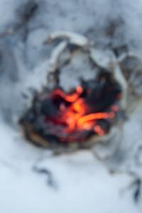 Untitled | DER GREIF