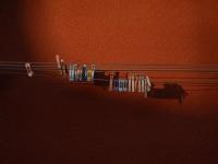 Clothesline, 2021 | DER GREIF