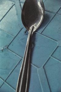 From the series "Calmistery" | DER GREIF