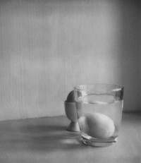 Nico Adrian Hölzl, EIIMGLAS, Neusiedl am See, AUT, 2024 | DER GREIF