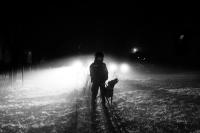 The Quiet Rise | DER GREIF