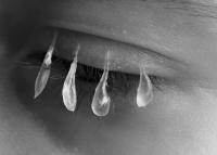 Non technological devices | DER GREIF