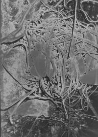 Dan Commons, Commons 004, Armley, Leeds, GBR, 2024 | DER GREIF