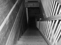 "Lines of Descent" | DER GREIF