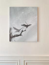 Installation view, Fenqiang Liu, "Wings of the Universe", 2020 © Jens Masmann | DER GREIF