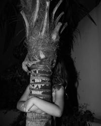 Untitled | DER GREIF