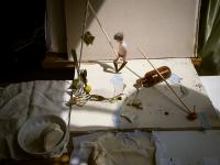 Elizabeth Pedinotti Haynes, "Bean Pod Legs", Saratoga Springs, NY, United States of America, 2024 | DER GREIF