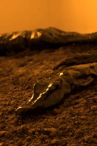 "Both the Universe and the Nothing" by Donja Nasseri | DER GREIF