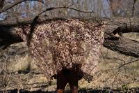 "Searching for Mendieta out in this wood" | DER GREIF