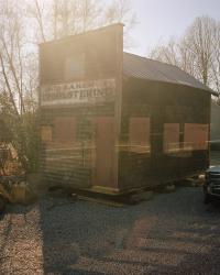 From the series "Ysanthem" | DER GREIF