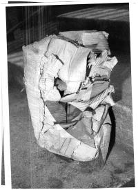 Let Your Eyes Dance | DER GREIF