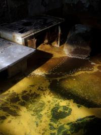 From the series "flux", Geamana, Alba region, Romania, 2025 | DER GREIF