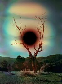 Carlos Del Río-Bermúdez, from the series "Good Gravy" | DER GREIF